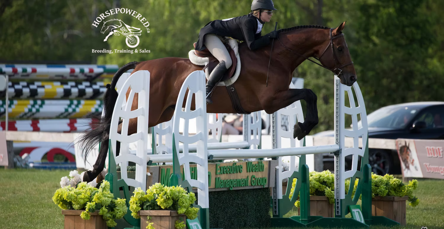Horsepowered Training Center
